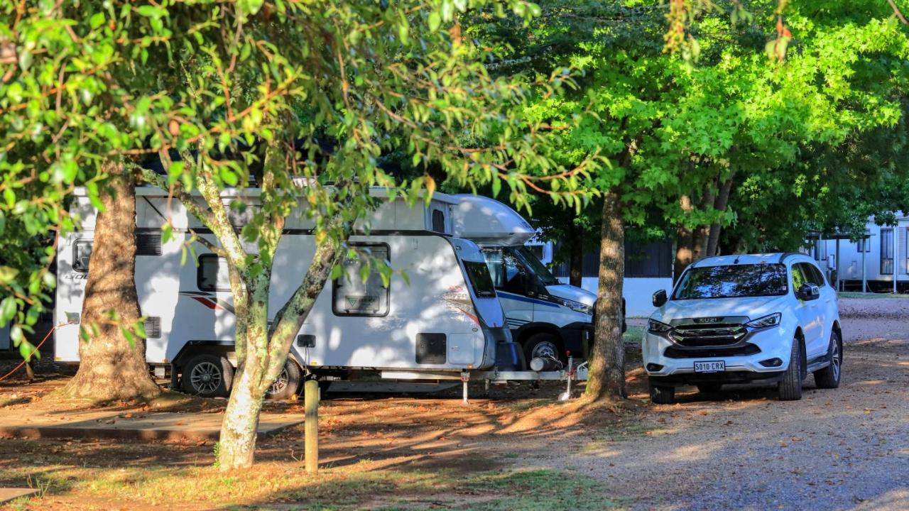 ברייט Big4 Porepunkah Holiday Park מראה חיצוני תמונה