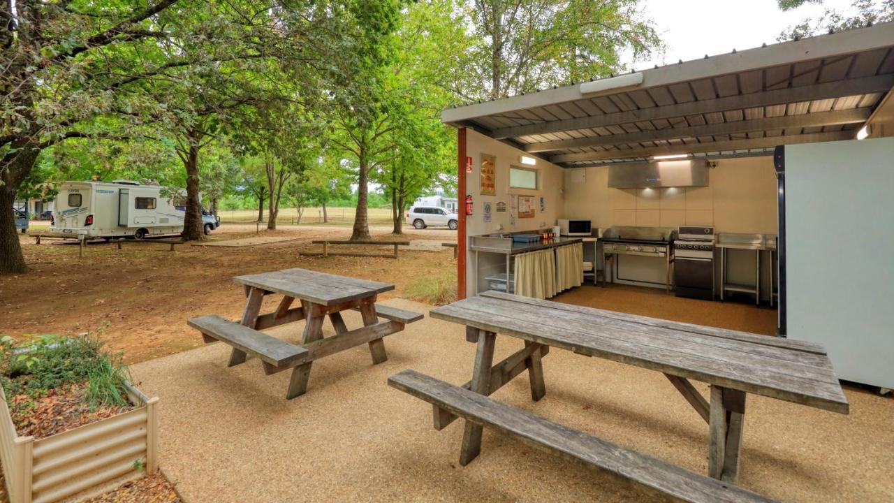 ברייט Big4 Porepunkah Holiday Park מראה חיצוני תמונה
